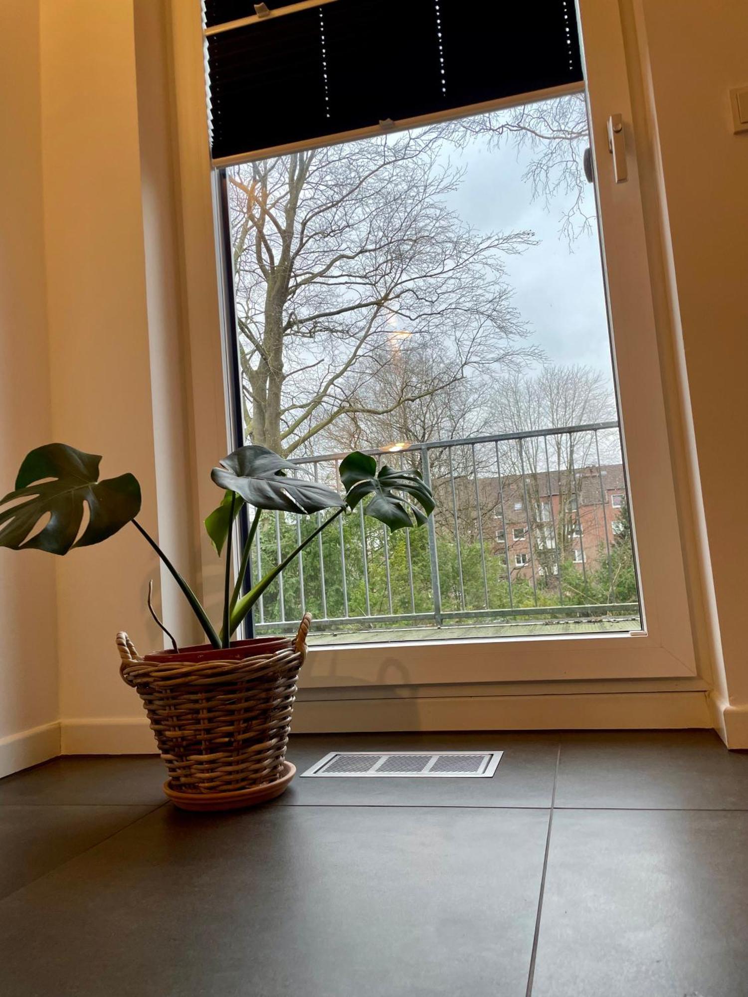 Modernes Holzhaus Im Skandinavischen Stil Mit Sauna, Garten Und 2 Katzen Norderstedt Buitenkant foto